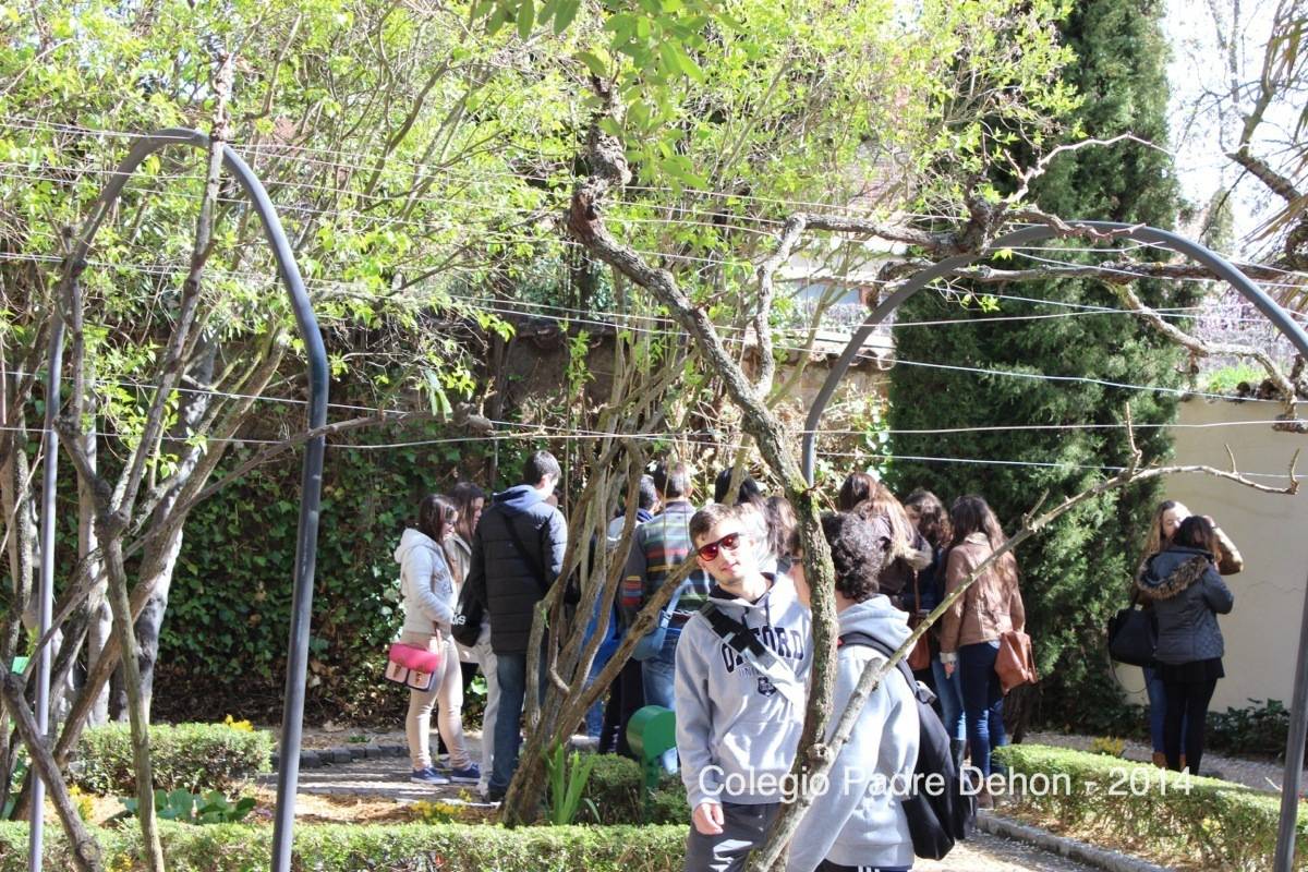 2014 03 22 SALAMANCA HUERTO DE CALIXTO Y MELIBEA (66)